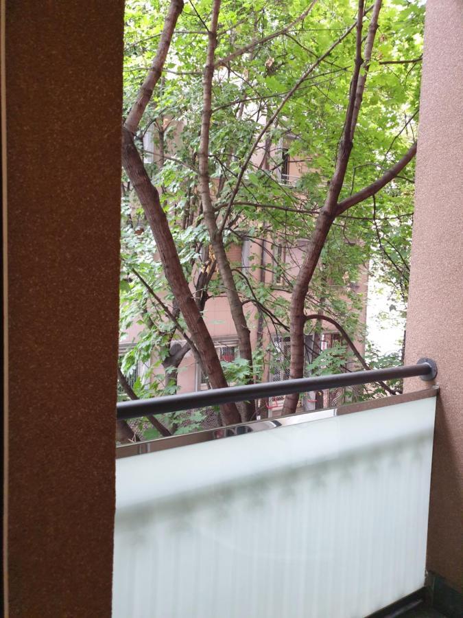 Metropol Lux Apartment Belgrade Vracar Exterior photo